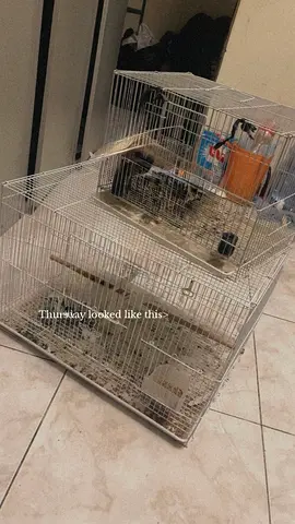Three Birds Cages for sell