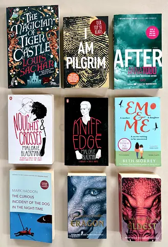 Fiction Books (I am Pilgrim, Malorie Blackman, Mark Haddon, Louis Sachar, C Paolini, Anna Todd, etc)