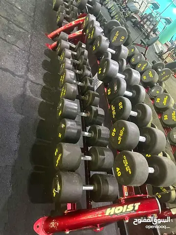 Hoist Dumbbell Set for Sale
