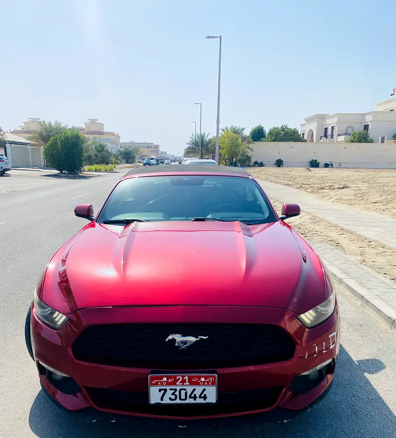 Ford Mustang 2016 — photo 1 of 8