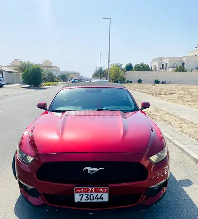 Ford mustang premium option