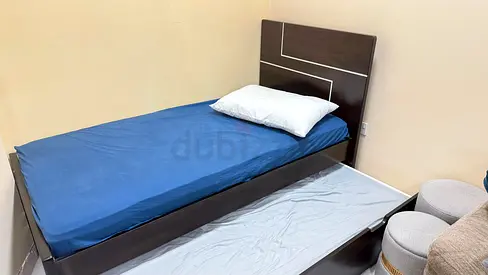 Pull Out Bed and Matress