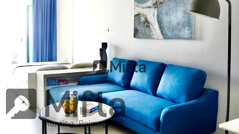 Furnished Studio Upgraded | Lake View | Near Metro