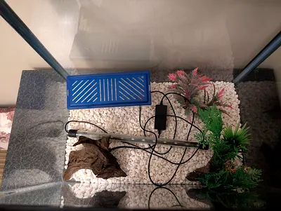 Fish tank for sale (Aquarium)