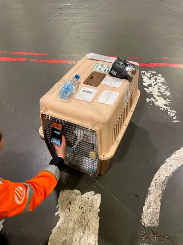 Pet Carrier for Travel or Transport