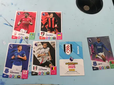 Panini Adrenalyn XL series — specifically the Premier League 2025 collection.