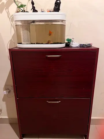 Stylish Wooden Cabinet with Storage