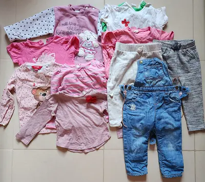 Baby Girl Clothes Bundle (12-18 months)