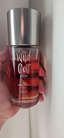 Assaf Wild Colt Bakhur