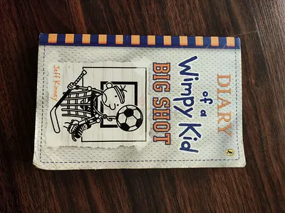 Fiction middle school book