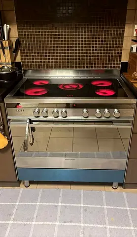 Free delivery Fisher  paykal Stainless Steel electric ceramic Cooking Range