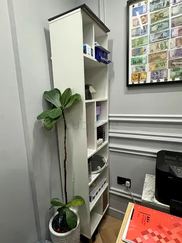 Modern White Bookshelf