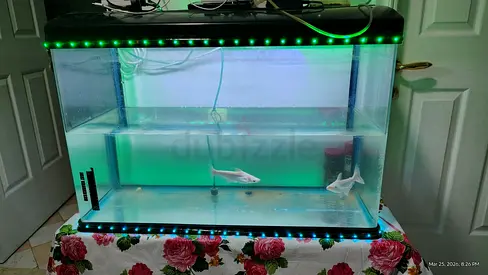 Aquarium for sale