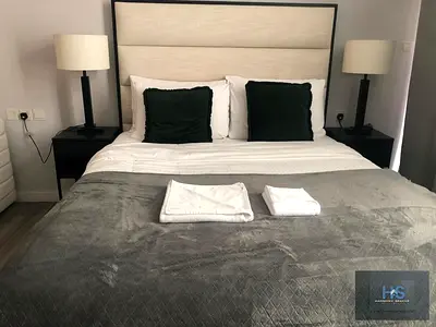 Luxury Studio | Fully Furnished | Luxury Amenities