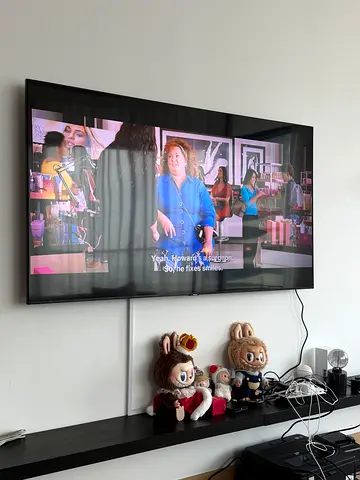 Samsung Sleek Flat Panel Television with Accessories