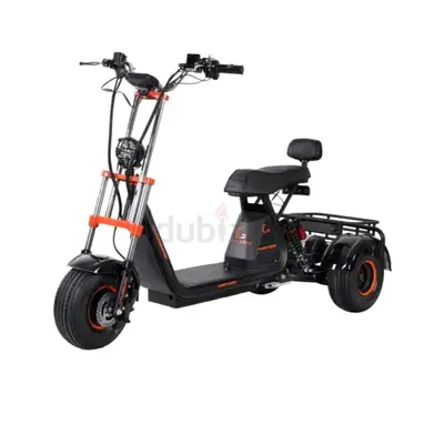 Kugoo C4 Electric Scooter