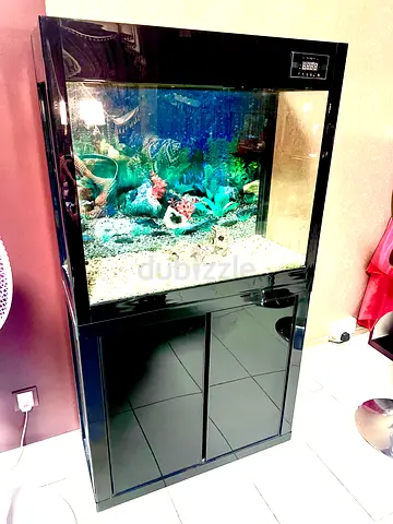 Aquarium with Lighting, Cabinet Stand and Accessories - Ready to Use