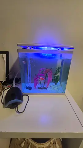 Fish tank