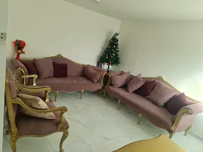 Elegant Gold and Pink Living Room Sofa Set