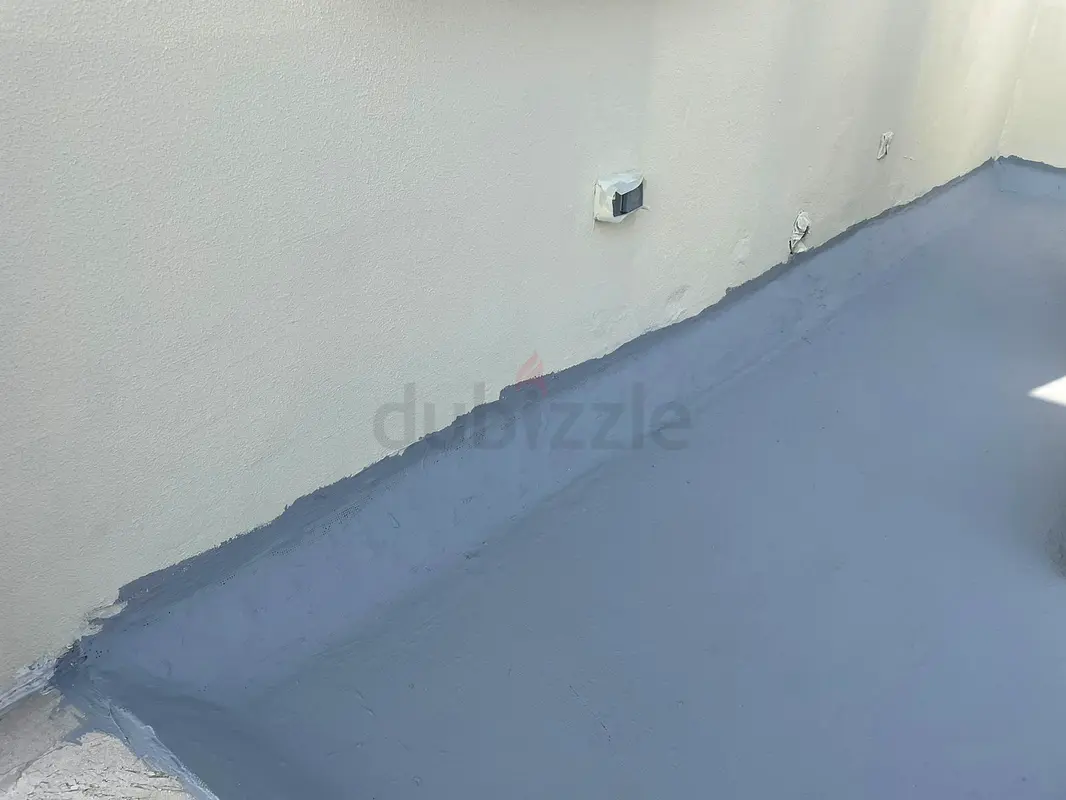 DPV_View_Image_2
