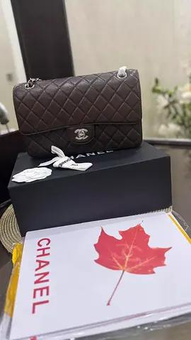 Chanel Quilted Handbag with Box and Tags