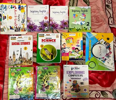 Grade 2- PACE Group IIS Textbooks