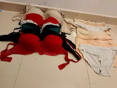 Collection of Lingerie and Bikini Sets