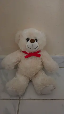 White teddy bear