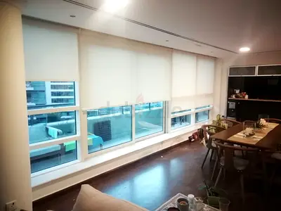 Roller Blinds for Living Room