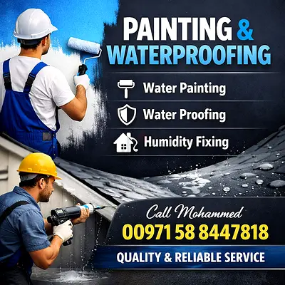 Professional Home  Villa Painting
