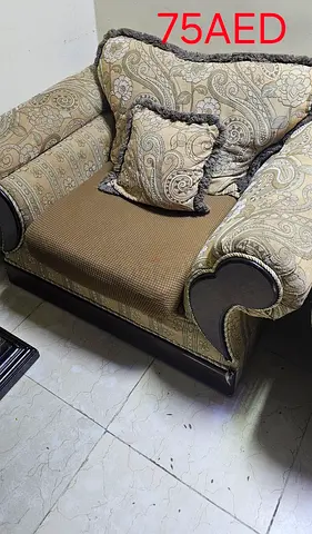 2 pieces of Comfortable Armchair with Decorative Cushion