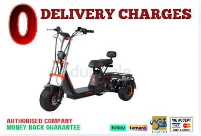 Kugoo C4 Electric Scooter