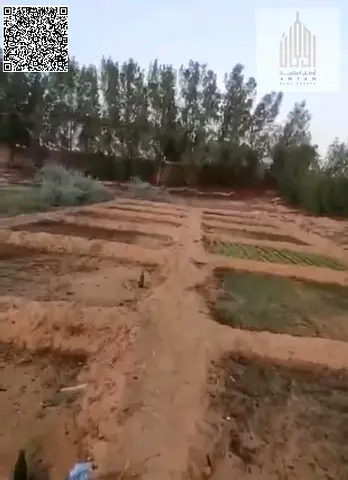 For Sale: Fully Equipped Farm in Umm Al Quwain – Kaber Area