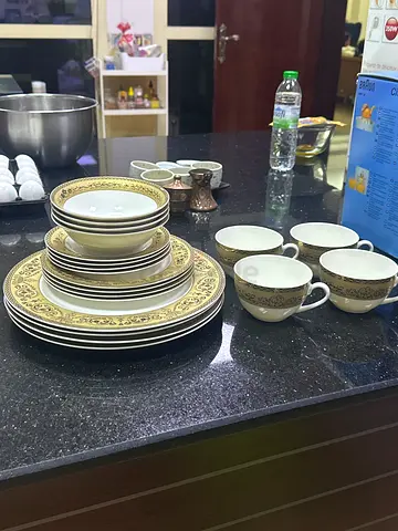 Elegant Dinnerware Set with Golden Accents