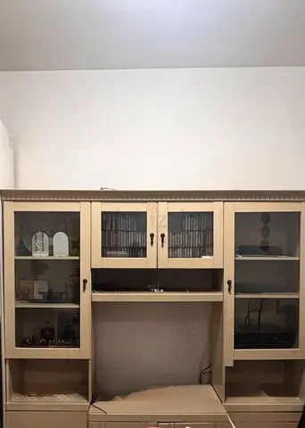 Wooden TV Shelf with Glass Doors