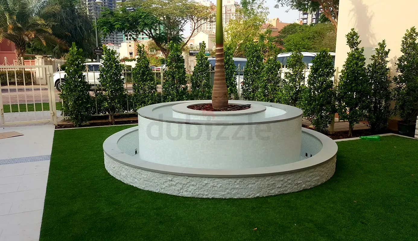 DPV_View_Image_6