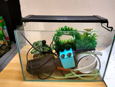Aquarium Setup with Accessories