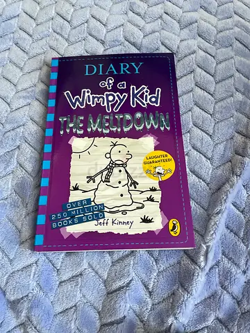 Diary of a wimpy kid the meltdown