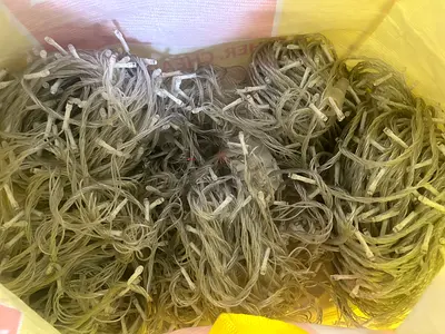 Bundle of white LED fairy/string lights — used, working