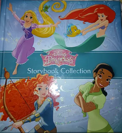 Disney Princess: Dreams Come True! – Hardcover Childrens Picture Book