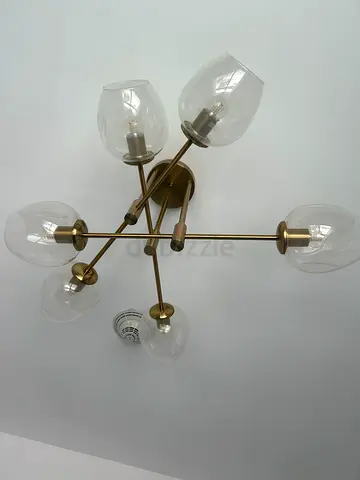 Stylish Modern Chandelier with Clear Glass Shades