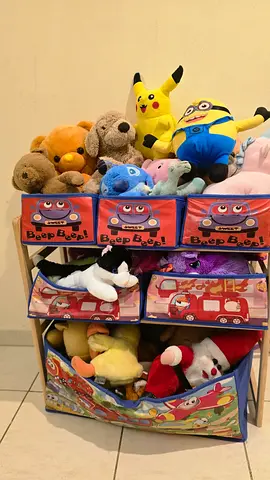 Colorful Toy Organizer for Kids