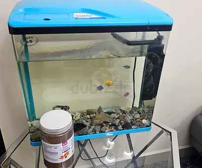 Aquarium with Fish and Supplies