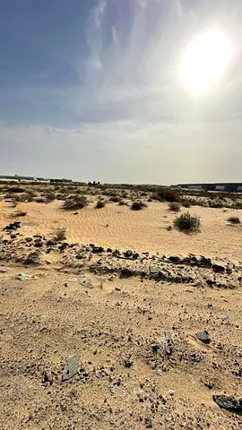 للبيع أرضين في السحمة – الشارقة | تملك عرب | موقع مميز