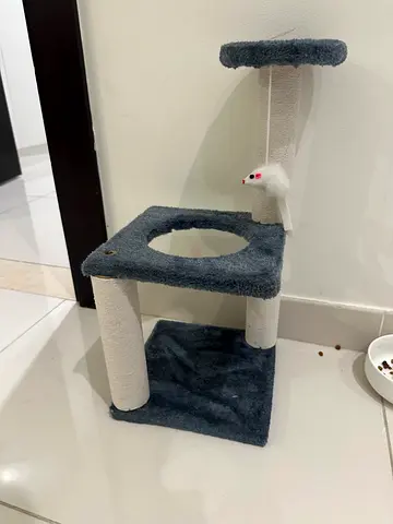 Cat Scratching Post with Toys