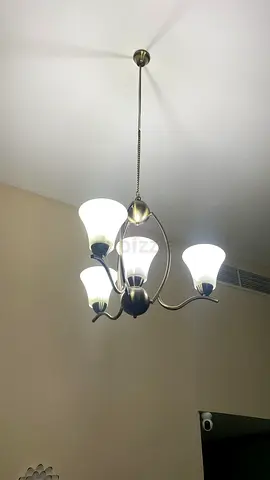 4 Light Elegant Ceiling Chandelier