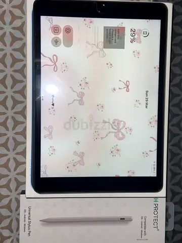Apple iPad (used) with Protect universal stylus