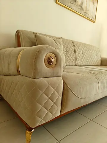 Elegant Sofa Bed for Living Area