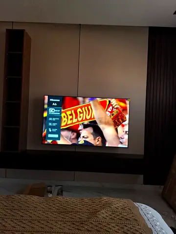 TV WALL Mount /Handyman Services