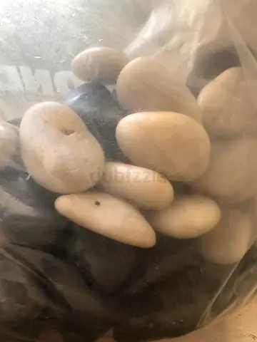 Collection of Decorative Pebbles